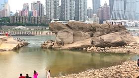 杨紫又一都市剧来了,三位帅哥齐聚,俊男靓女超吸睛